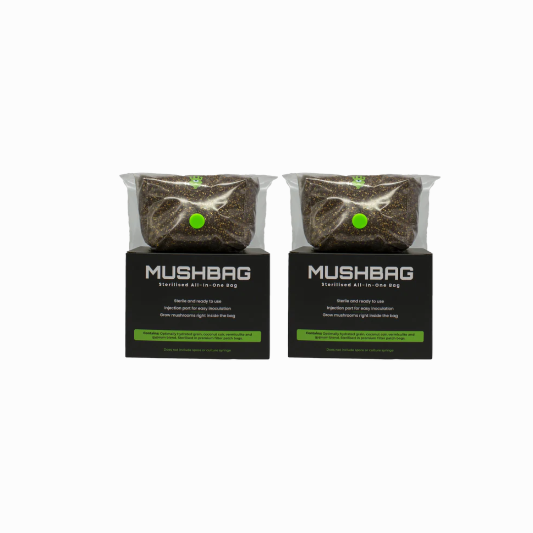 MushBag Grow Kit