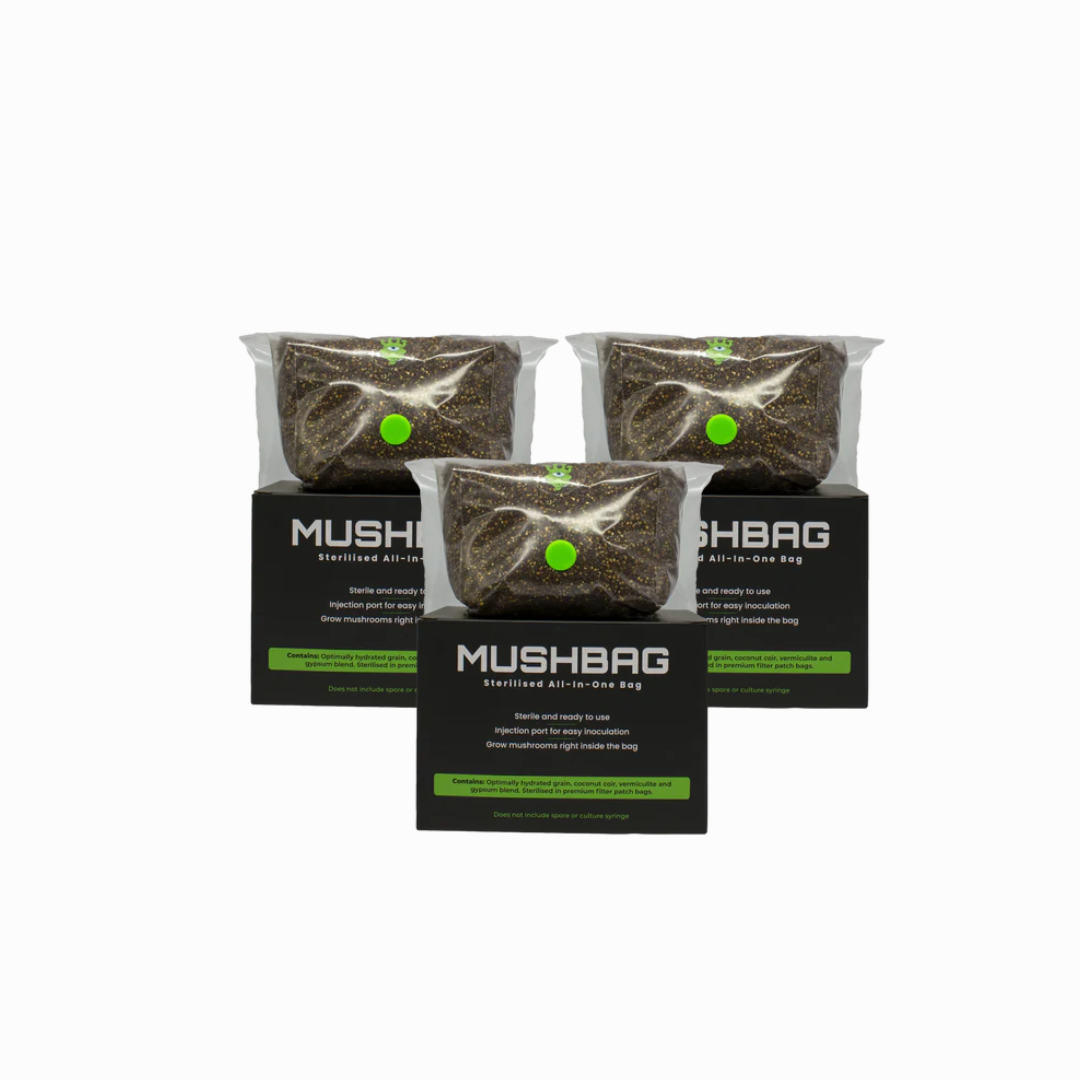 MushBag Grow Kit