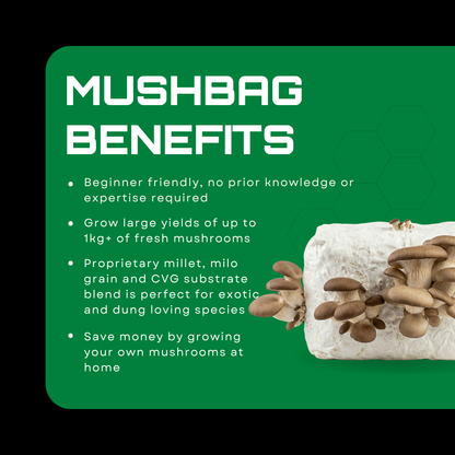 MushBag™ All-In-One Mushroom Grow Kit