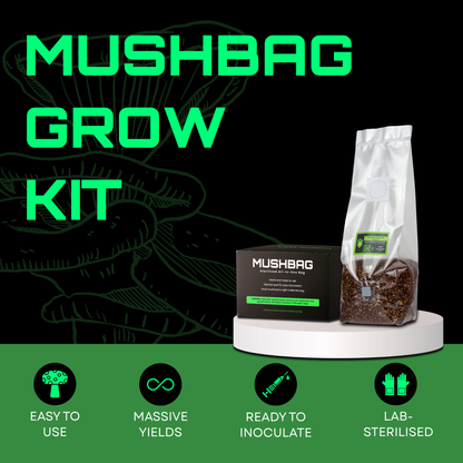 MushBag™ All-In-One Mushroom Grow Kit