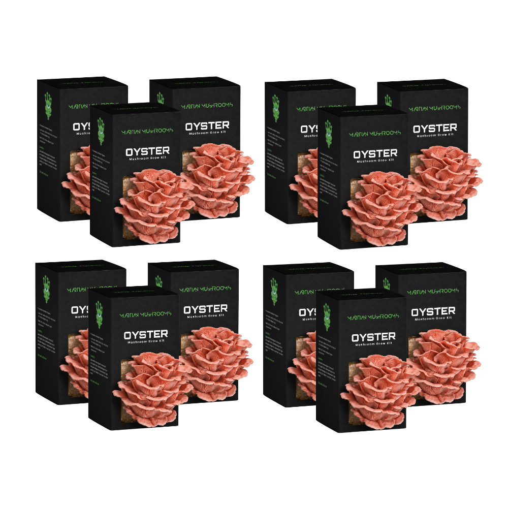 Pink Oyster Mushroom Grow Kit