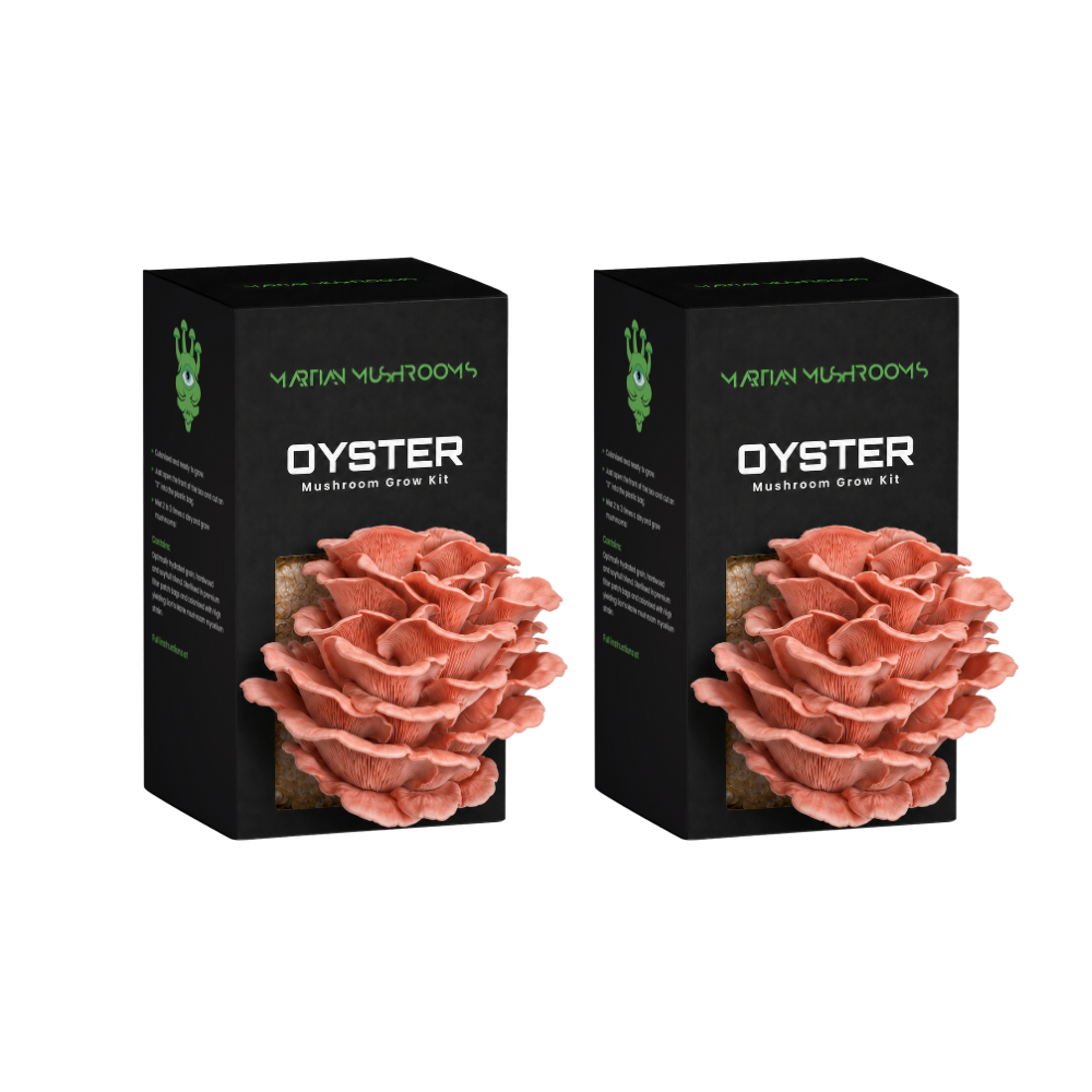 Pink Oyster Mushroom Grow Kit
