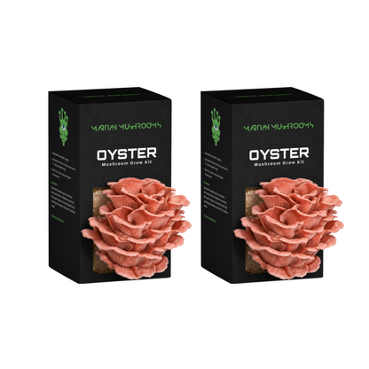 Pink Oyster Mushroom Grow Kit
