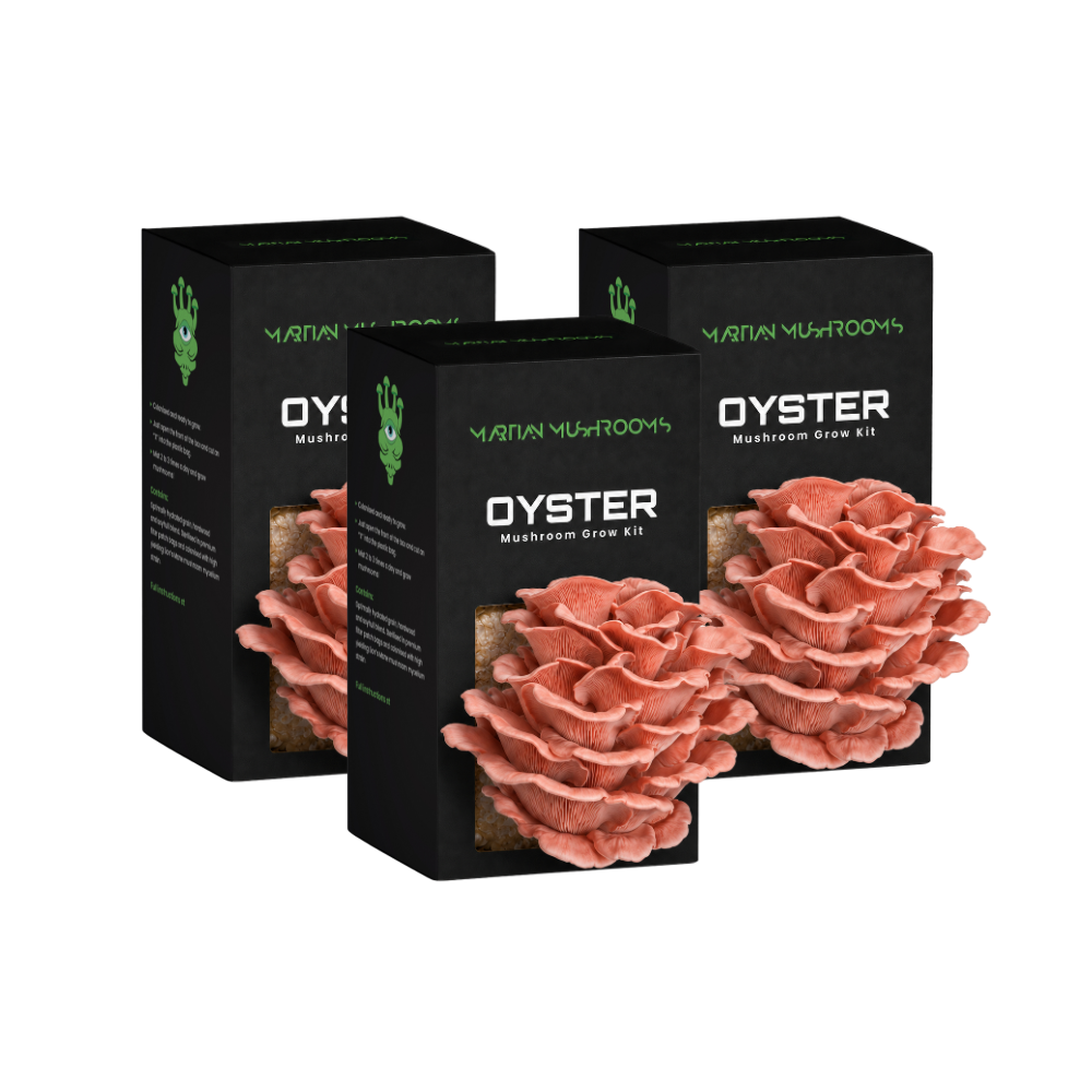 Pink Oyster Mushroom Grow Kit