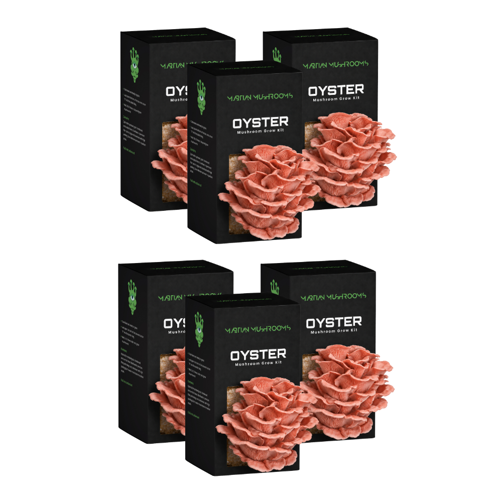 Pink Oyster Mushroom Grow Kit