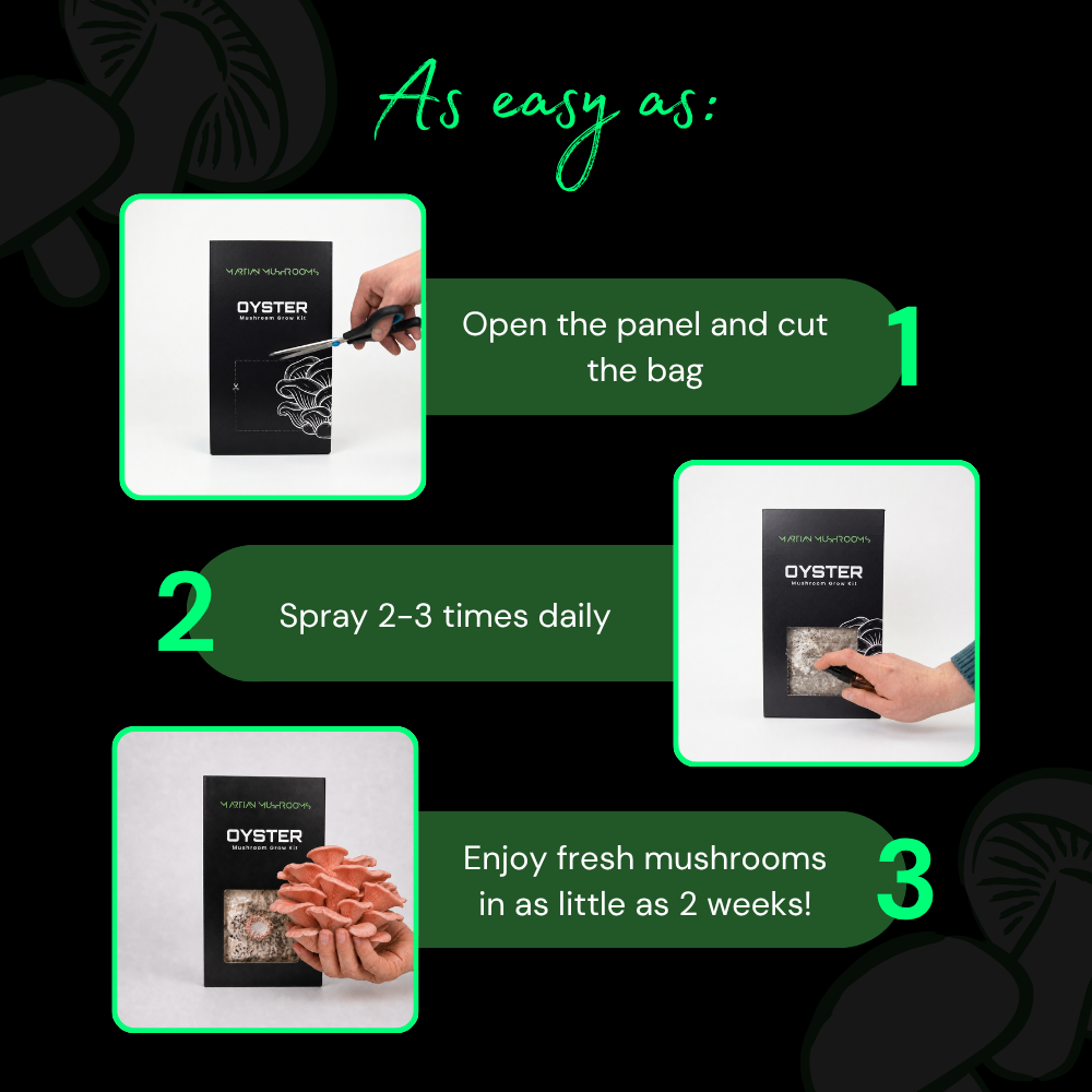Pink Oyster Mushroom Grow Kit