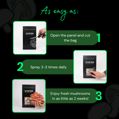 Pink Oyster Mushroom Grow Kit