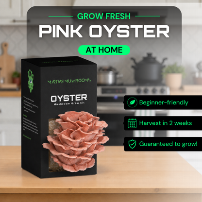 Pink Oyster Mushroom Grow Kit