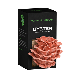 Pink Oyster