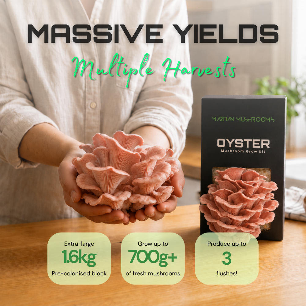 Pink Oyster Mushroom Grow Kit