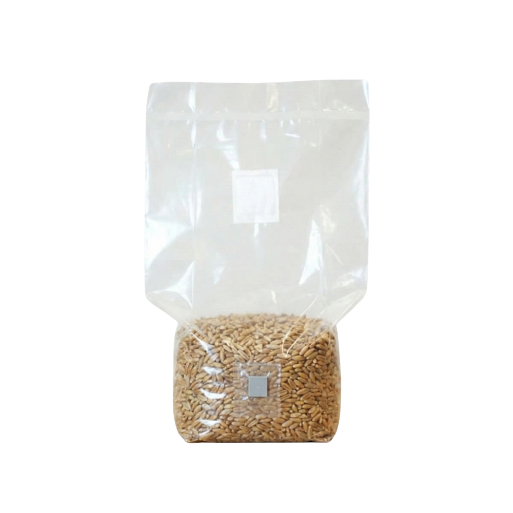 Sterilised Rye Mushroom Grain Spawn Bag
