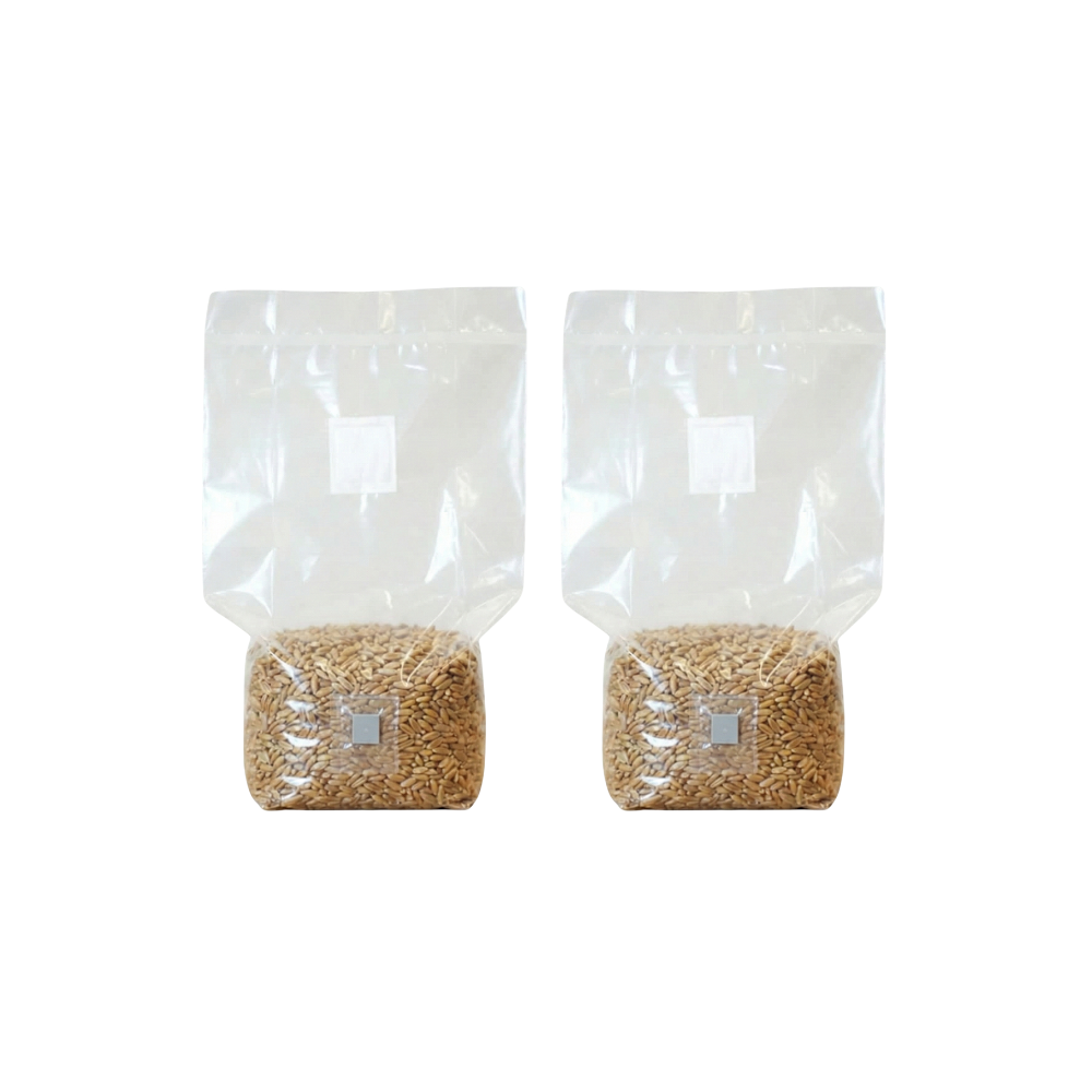 Sterilised Rye Mushroom Grain Spawn Bag