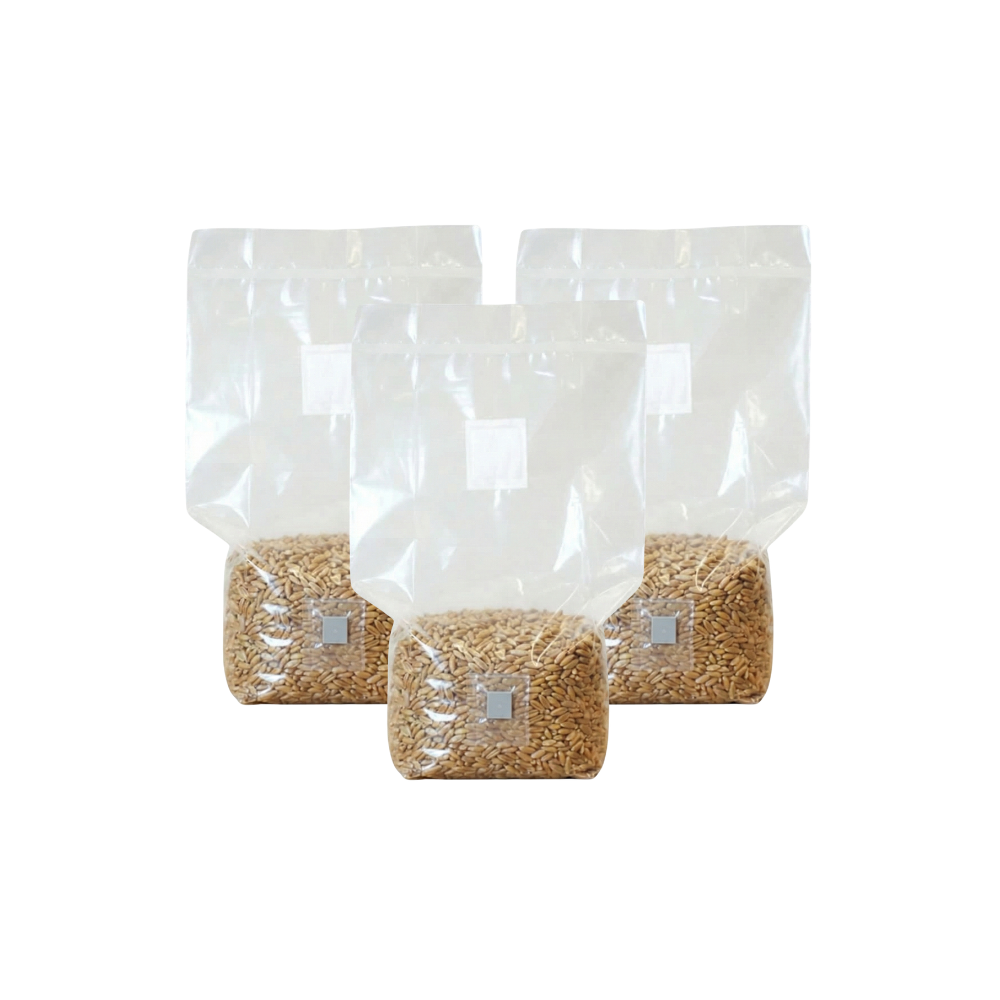 Sterilised Rye Mushroom Grain Spawn Bag