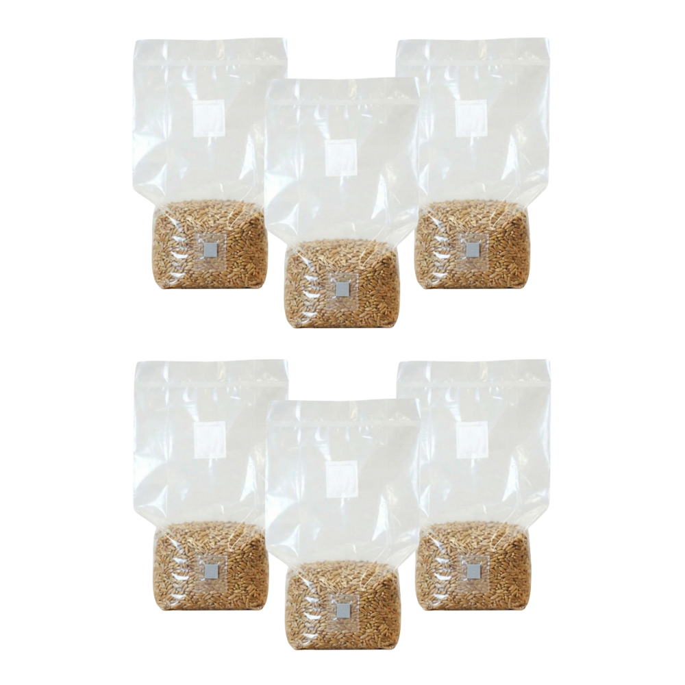 Sterilised Rye Mushroom Grain Spawn Bag