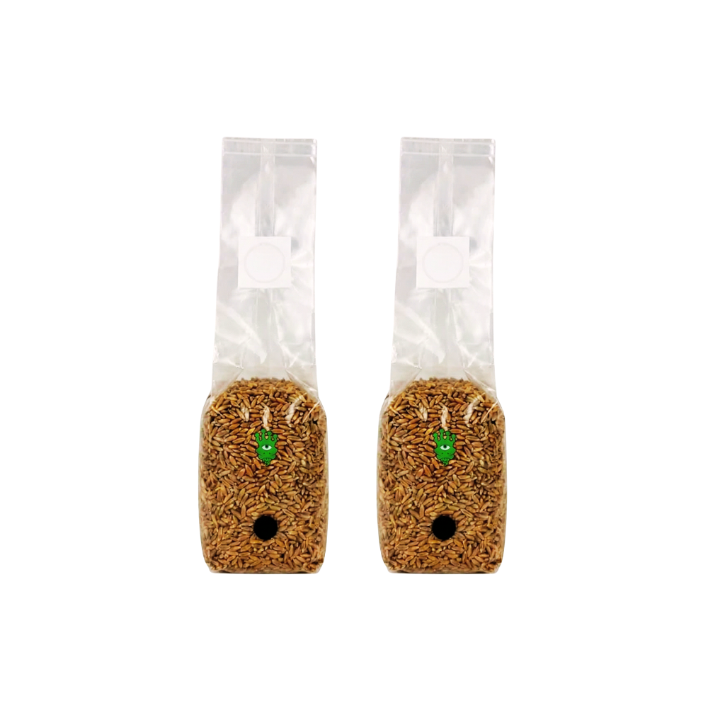 Sterilised Rye Mushroom Grain Spawn Bag