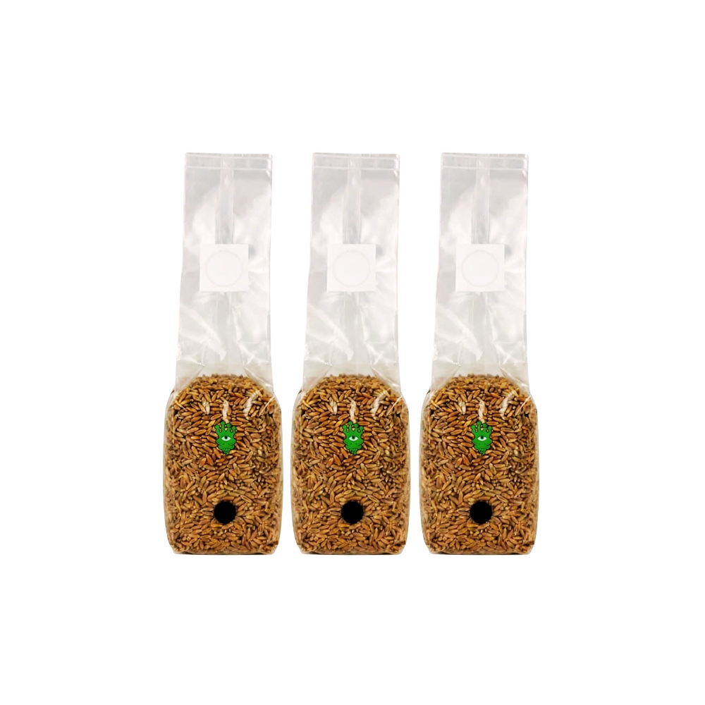 Sterilised Rye Mushroom Grain Spawn Bag