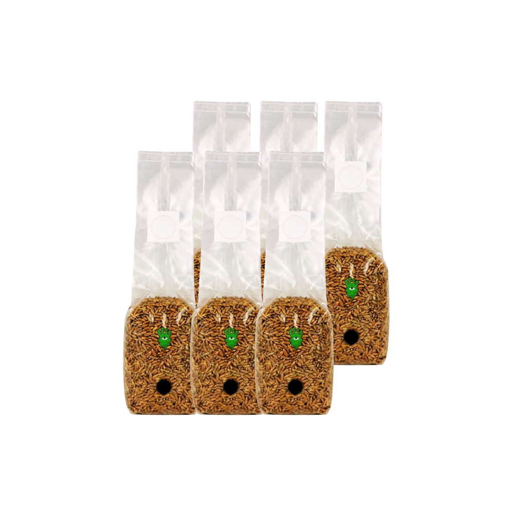 Sterilised Rye Mushroom Grain Spawn Bag