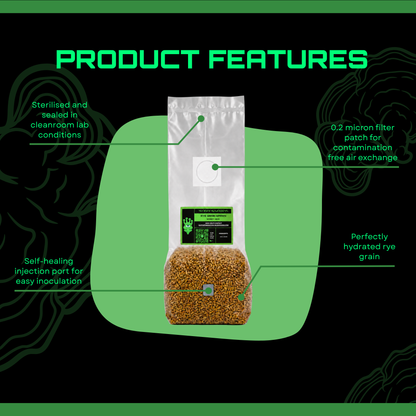 Sterilised Rye Mushroom Grain Spawn Bag