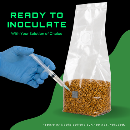 Sterilised Rye Mushroom Grain Spawn Bag