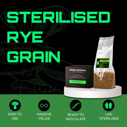 Sterilised Rye Mushroom Grain Spawn Bag