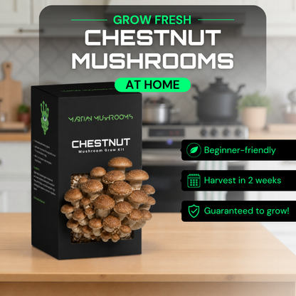 Speckled Chestnut Mushroom Grow Kit