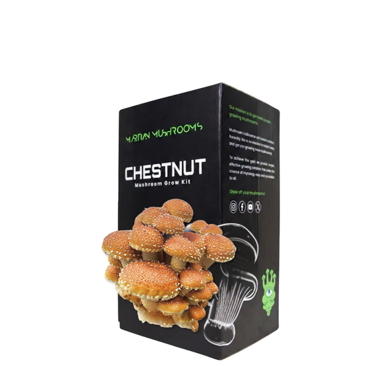 Speckled Chestnut Mushroom Grow Kit