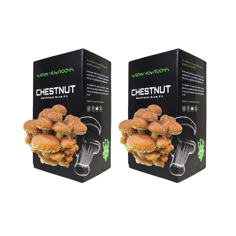 Speckled Chestnut Mushroom Grow Kit