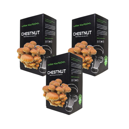 Speckled Chestnut Mushroom Grow Kit