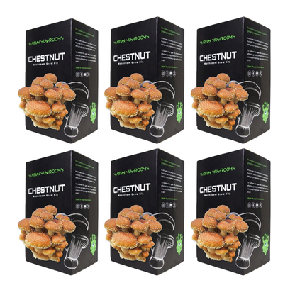 Speckled Chestnut Mushroom Grow Kit