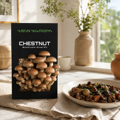 Speckled Chestnut Mushroom Grow Kit