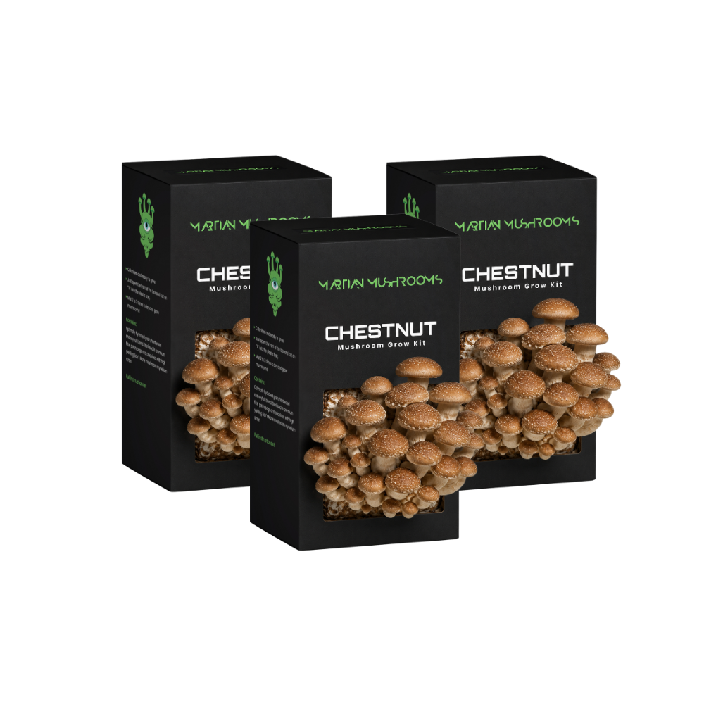 Speckled Chestnut Mushroom Grow Kit
