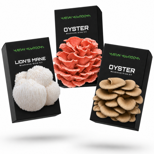 Mushroom Grow Kit Bundle (Buy 2, Get 1 Free)