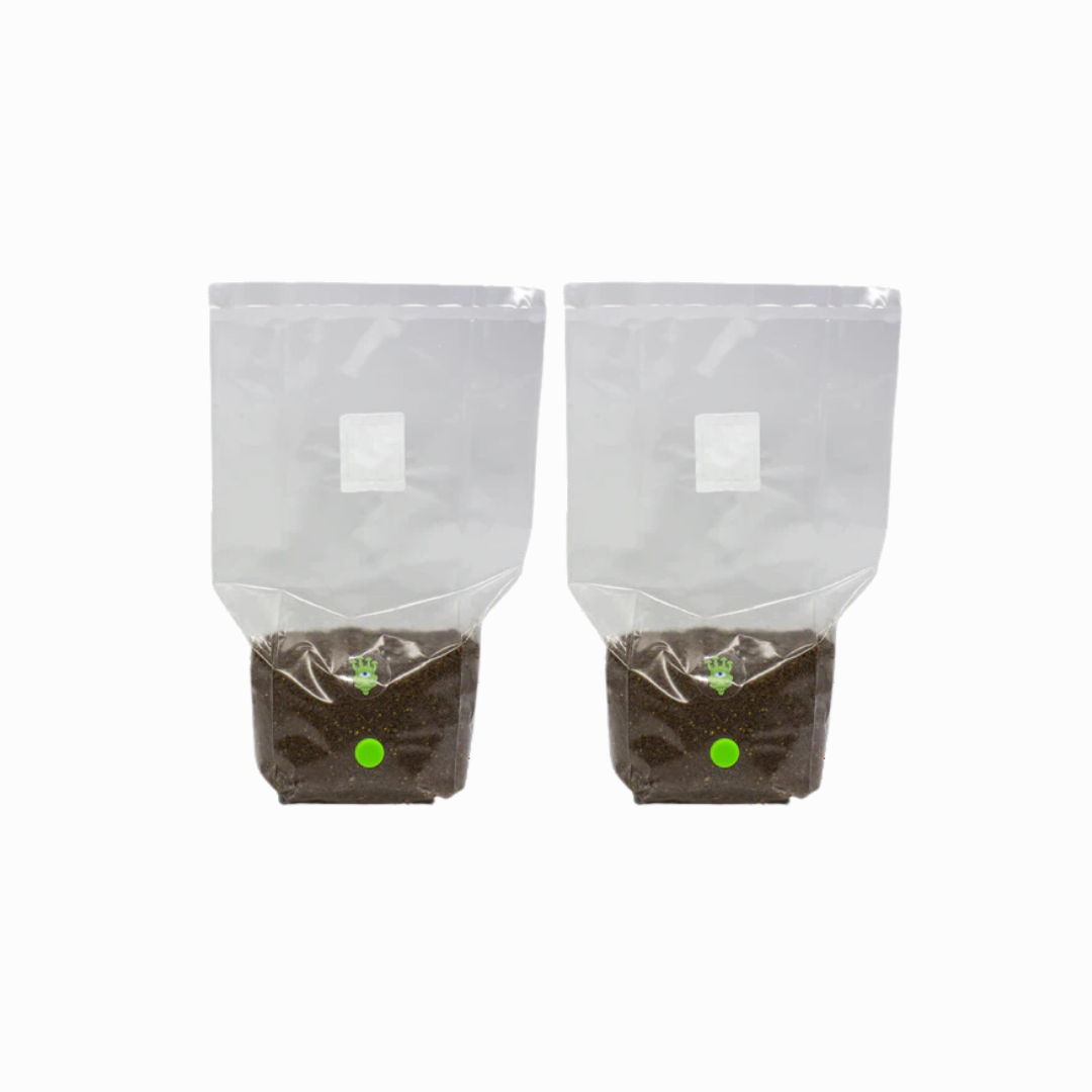 All-In-One Grow Bag - Masters Mix