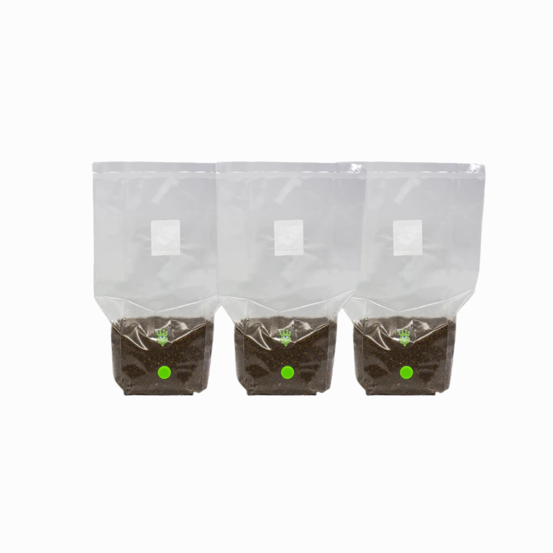 All-In-One Grow Bag - Masters Mix