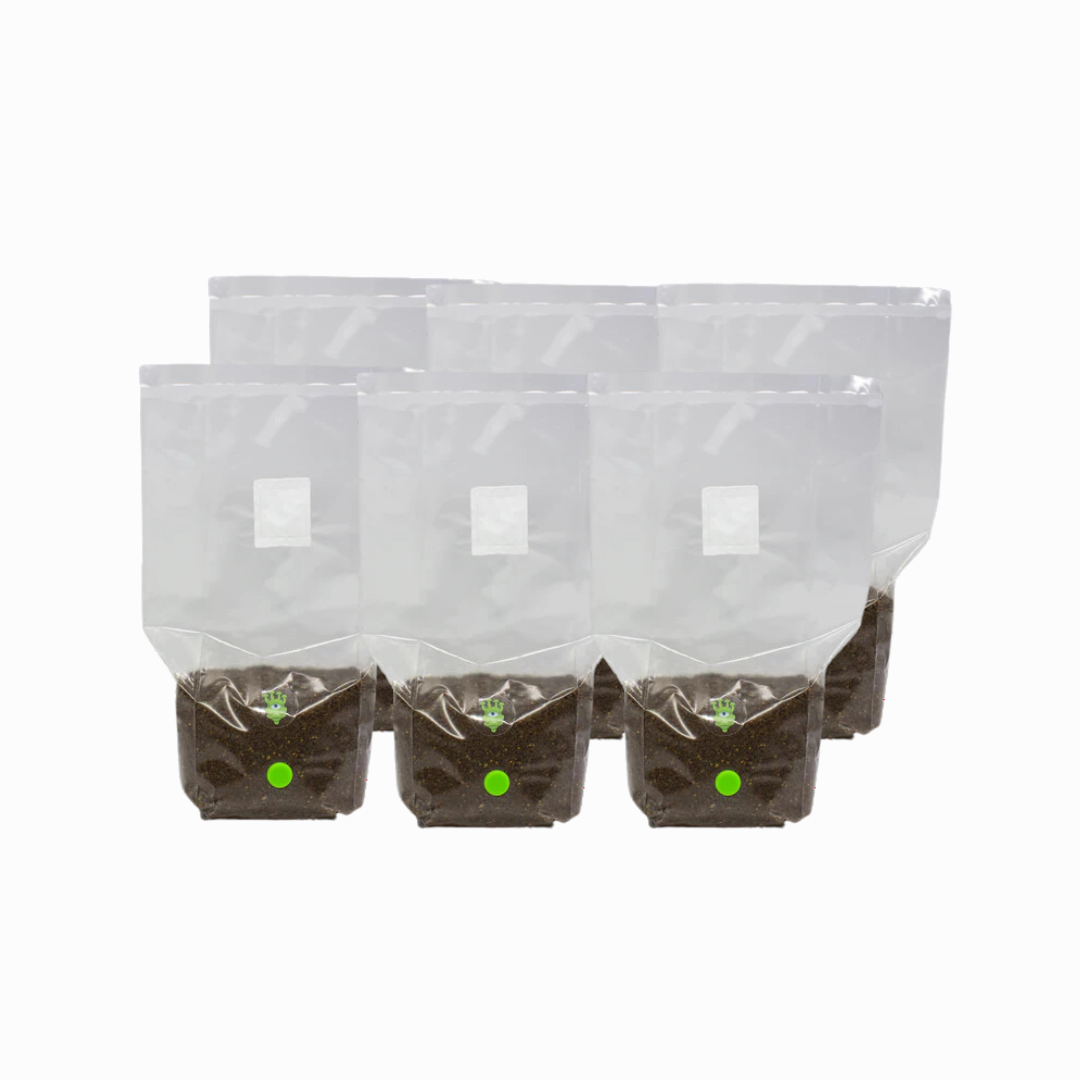 All-In-One Grow Bag - Masters Mix